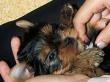 15.07.2012: Benjamin Bee und Be Happy mit Kirsty