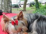 25.07.2009 Mimmy braucht mal Ruhe