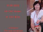 19.09.2010 VK-1.DYC Gemeinschaftsausstellung Gosen Mimmy V1 CAC BOS